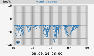 Wind Vector